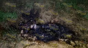 ¡EJECUTADO Y CALCINADO! Ejecutado Calcinado