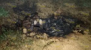 ¡EJECUTADO Y CALCINADO! Ejecutado Calcinado