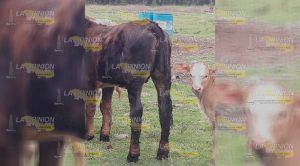 ¡Fuga de aceite en Sombrerete! Fuga Aceite Sombrete