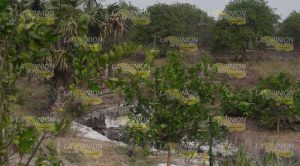 ¡Fuga de aceite en Sombrerete! Fuga Aceite Sombrete