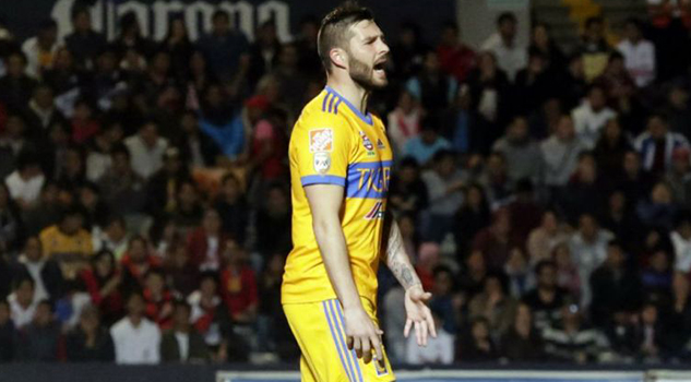 Gignac sueña con ser técnico de tigres
