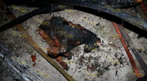 Incendio arrasó con rosticería en Monte Chiquito Incendio Arrasó Rosticería Monte Chiquito