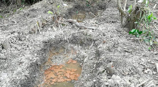 Investigan en Ixhuatlán del Sureste presunto campo de exterminio Investigan Ixhuatlán Sureste Presunto Campo Exterminio