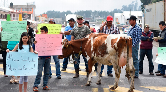 Lecheros bloquean carretera Xalapa-Perote, exigen precios justos Lecheros Bloquean Carretera Xalapa Perote
