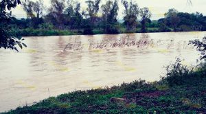 Recorre Protección Civil río Cazones Recorre Protección Civil Río Cazones