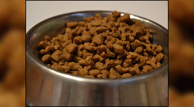 Retiran comida para perros contaminada con fármaco para eutanasia