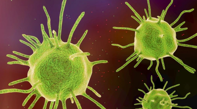 Amebiasis, la enfermedad más buscada por mexicanos en internet en 2017