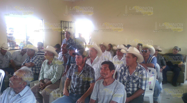 Continúa el robo de ganado