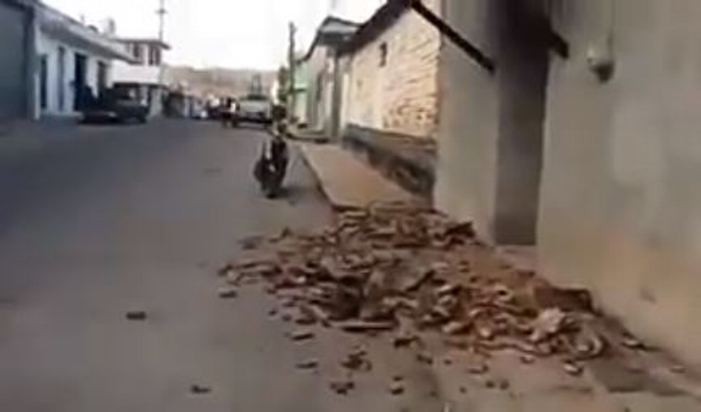 Daños en viviendas y carreteras de la costa de Oaxaca por sismo