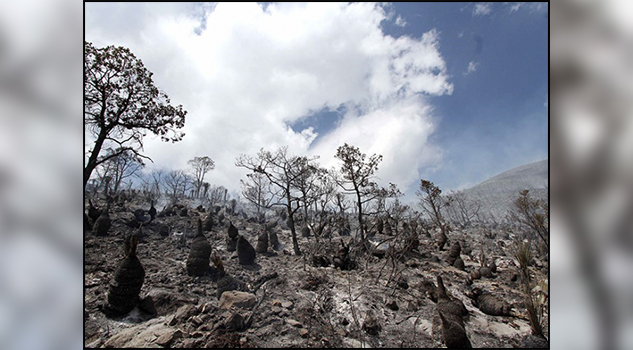 Saltillo listo para temporada de incendios forestales