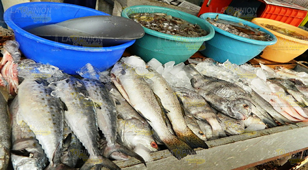 A la alza precio de pescado y marisco Alza Pescado Marisco