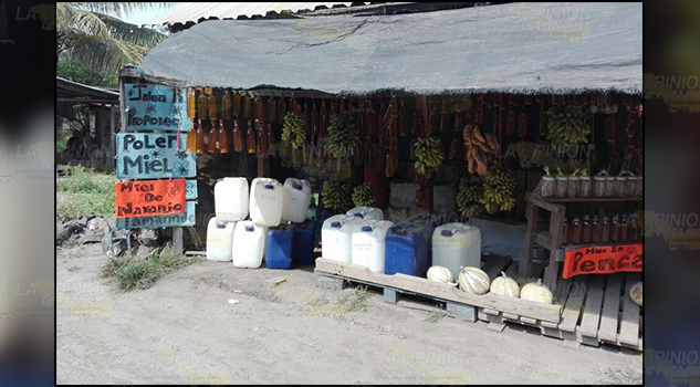 Fumigaciones exterminan a abejas