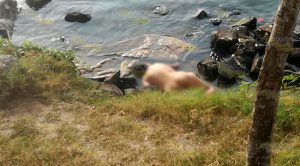 Hallan cadáver a orillas de río Cadáver Mujer Orillas Río