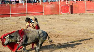 Así se vivió la Corrida de Toros Corrida Toros