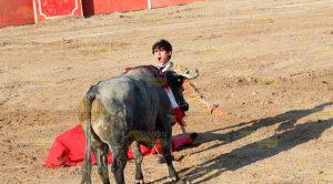 Así se vivió la Corrida de Toros Corrida Toros