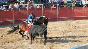 Así se vivió la Corrida de Toros Corrida Toros