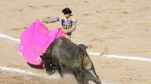 Así se vivió la Corrida de Toros Corrida Toros