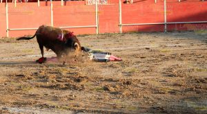 Así se vivió la Corrida de Toros Corrida Toros