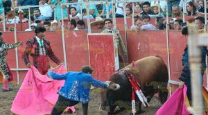 Así se vivió la Corrida de Toros Corrida Toros