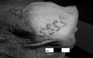 Descubren los primeros tatuajes figurativos del mundo en momias de hace 5 mil años