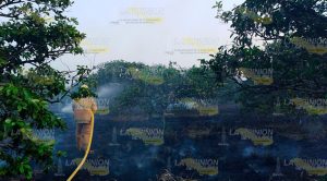 ¡Devasta fuego huerta citrícola! Devasta Fuergo Huerta Citrícola