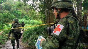 Encuentran cuerpo en un terreno cerca de Coatzintla Encuentran Cuerpo Cerca Coatzintla