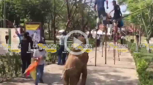 Cumbre Tajín en su máximo esplendor