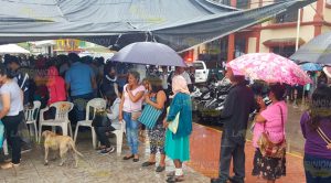 Las tienen por horas bajo las llovizna Horas Bajo Llovizna