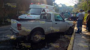 Se impacta camioneta contra un cedro Impacta Camioneta Cedro