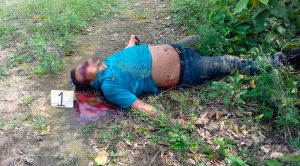 Se mata al impactar su moto contra un árbol Mata Impactar Moto Árbol