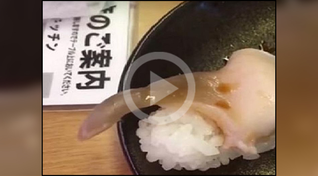 Video. Mujer pidió sushi en Japón y su platillo 'cobró vida'