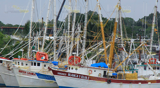 ¡Suspenderán la pesca! Suspenderán Pesca
