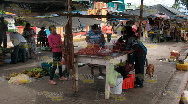 En Tamalin comen carne de dudosa procedencia Tamalín Comen Carne Dudosa Procedencia