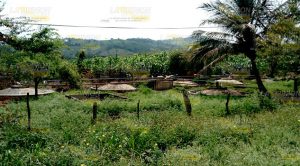 Urge solución a contaminación Urge Solución Contaminación