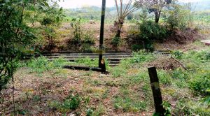 Urge solución a contaminación Urge Solución Contaminación