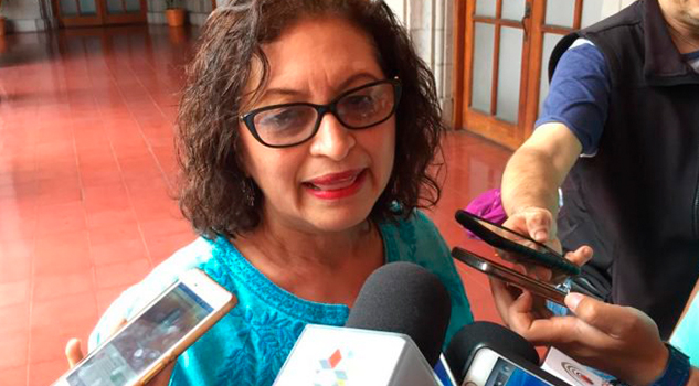 Veracruz, sin contingencias ambientales: Sedema Veracruz Sin Contingencias Ambientales Sedema