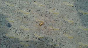 Violento asalto en Cooperativa de Carrizal Violento Asalto Cooperativa Carrizal