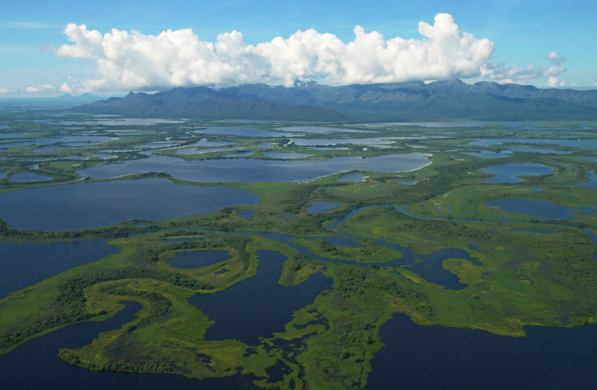 Día mundial del agua: El verdadero oro líquido