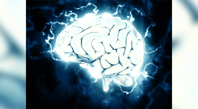 ¿Qué cambios ocurren tras lesión cerebral?