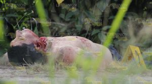 Encuentran a dos ejecutados