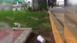 El Paseo Raíces de Vida está en el total olvido