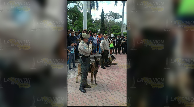 Quieren más policías