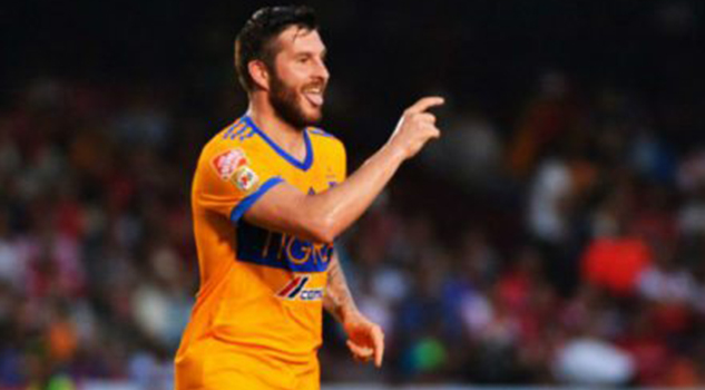 Clava Tigres los colmillos a Tiburones Rojos