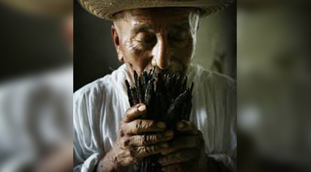 ¿Sabías que México es el país de origen de la vainilla?
