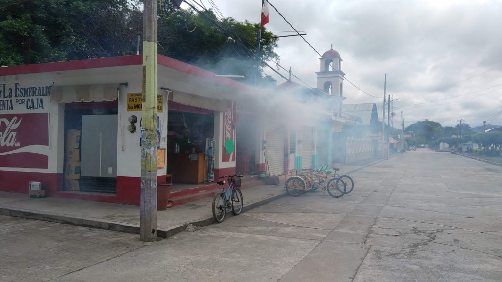 Aplican fumigación contra el mosquito del dengue