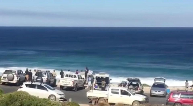 Ataque Tiburón Obliga Detener Campeonato Surf Australia