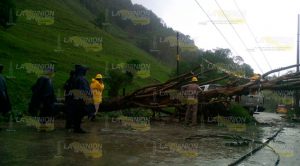 Cae árbol sobre una casa y suspenden la circulación Cae Árbol Sobre Casa Suspenden Circulación