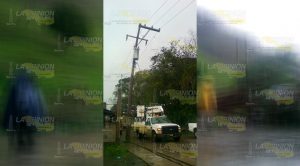 Cae árbol sobre una casa y suspenden la circulación Cae Árbol Sobre Casa Suspenden Circulación