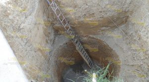 Desesperada búsqueda de agua Desesperada Búsqueda Agua