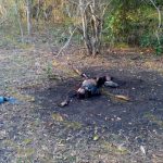 Sin Identificar Cuerpo Mujeres Asesinadas